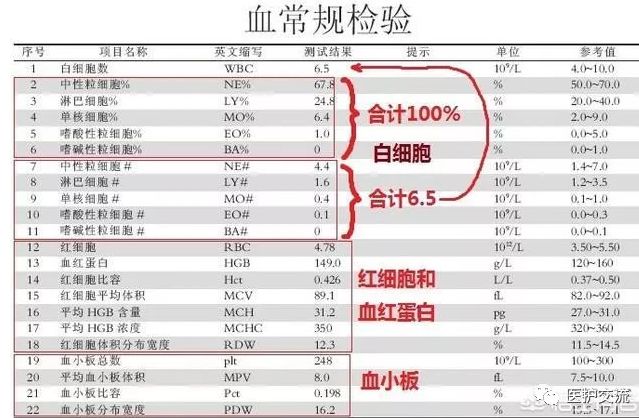 血常规化验